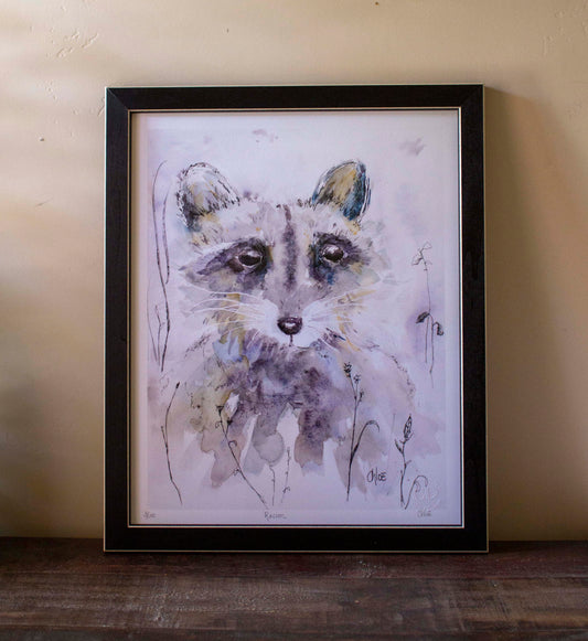 Framed "Racoon"