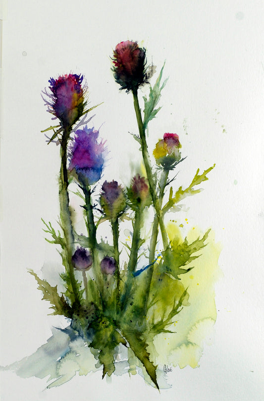 Thistle-Dae