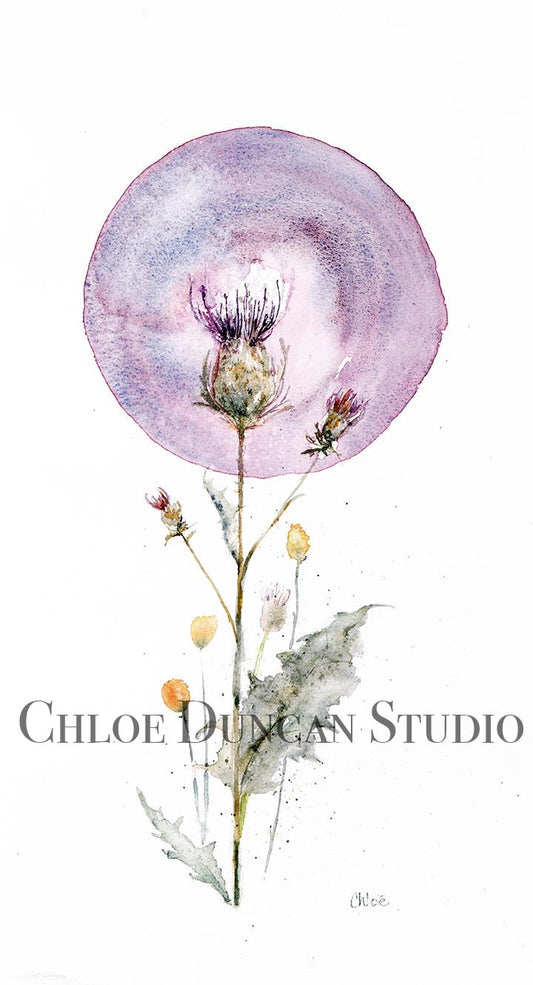 "Thistle & Moon"